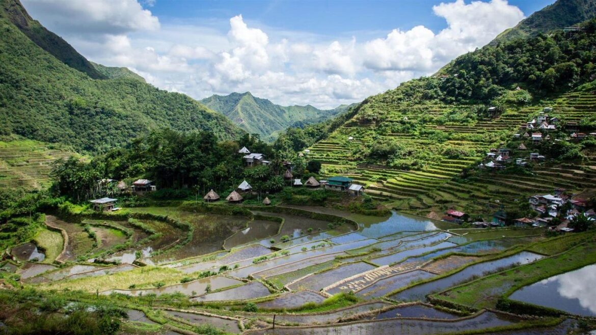 Batad Rice Terraces  Backpacking the Philippines