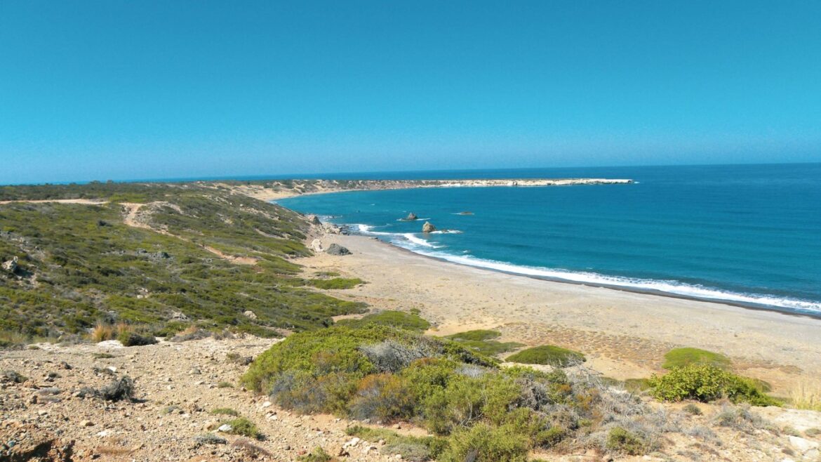 lara beach in Peyia Cyprus