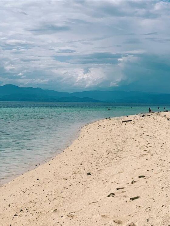 Moalboal in Cebu: A Complete Guide