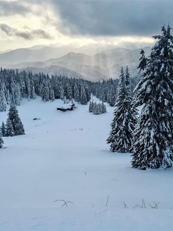 Ultimate Guide to Skiing in Pamporovo