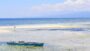 My Ultimate Guide to the Beaches in Siquijor