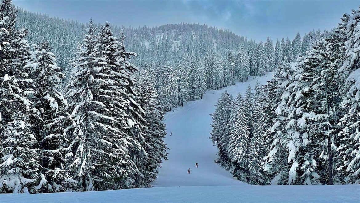 Ski Runs and snowy trees  in Borovets Bulgaria