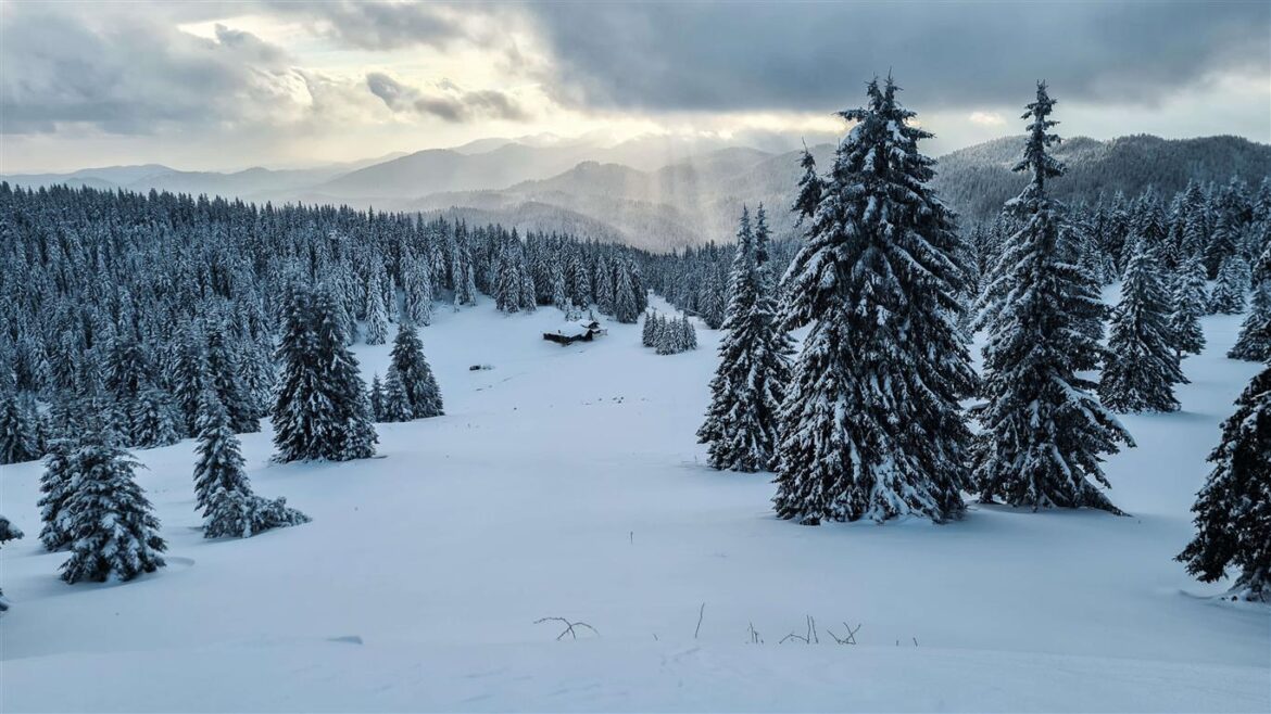 Bulgaria Ski Resorts Off Piste in Pamporovo