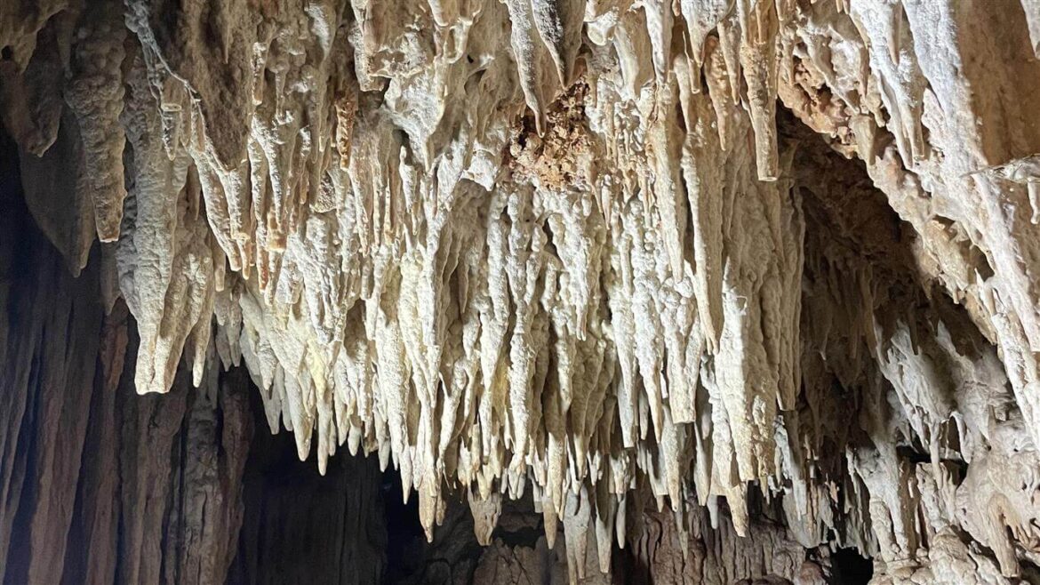 Cuevas de Cabarete stalactites
