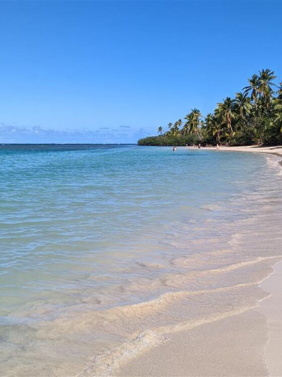 My Ultimate Guide to the 10 Best Dominican Republic Beaches