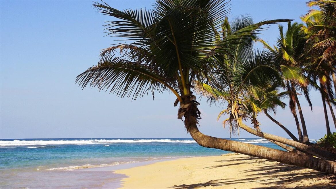 Dominican Republic Beaches - Bavaro Beach