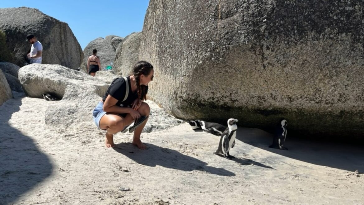 Boulders Beach - Cape Town