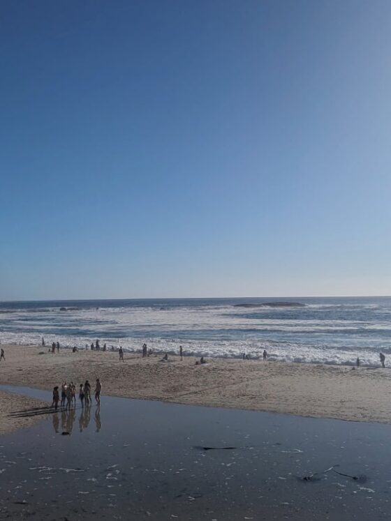 Beaches in Cape Town: My Favourite Trips from the City to the Sea