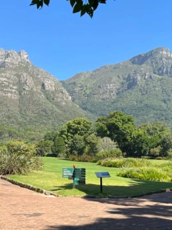 10 Amazing Things to Do in Cape Town (That I Actually Did!)