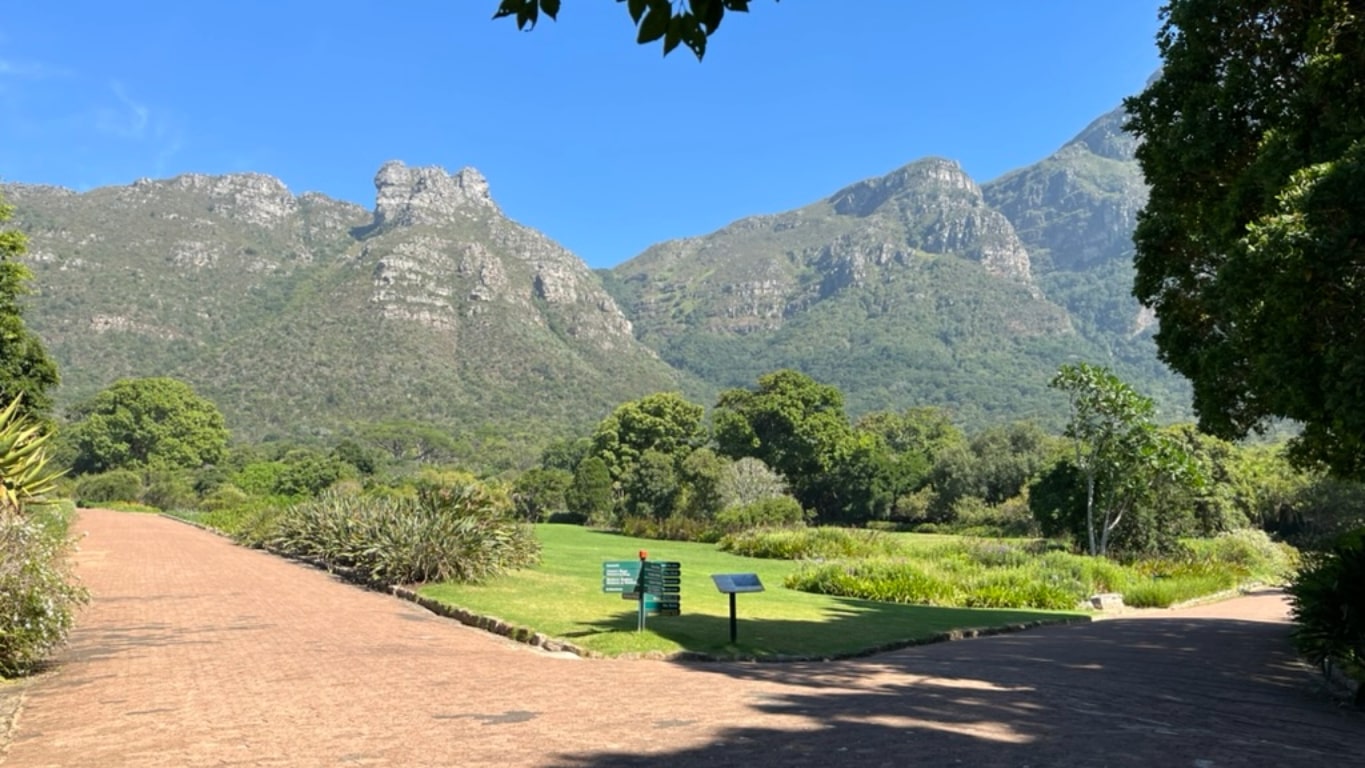 10 Amazing Things to Do in Cape Town (That I Actually Did!)