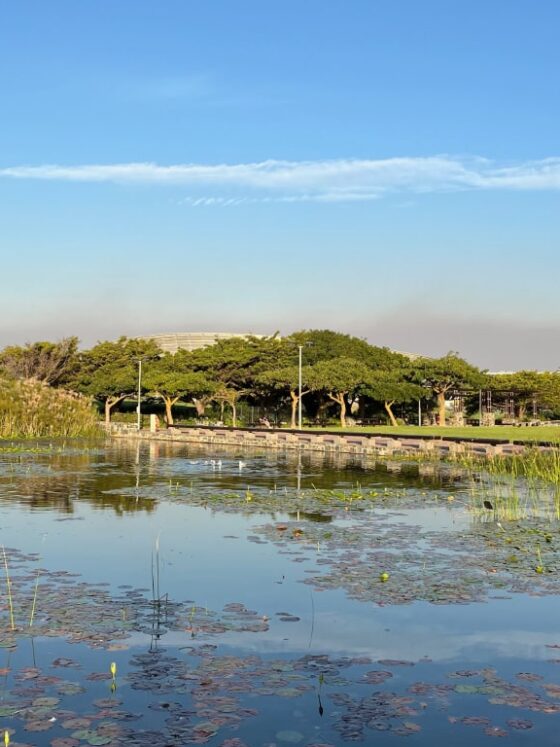 Cafés in Cape Town for Digital Nomads: Best Spots to Work