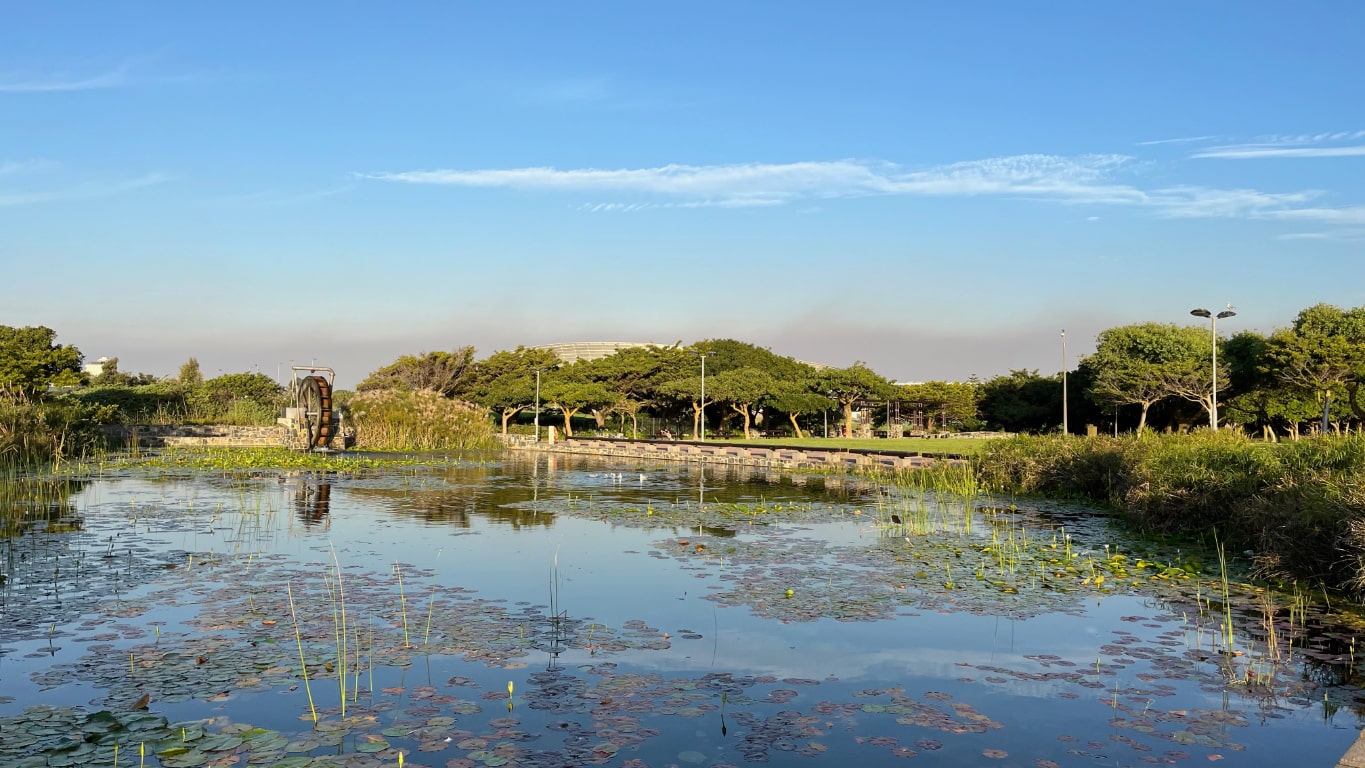 Cafés in Cape Town for Digital Nomads: Best Spots to Work